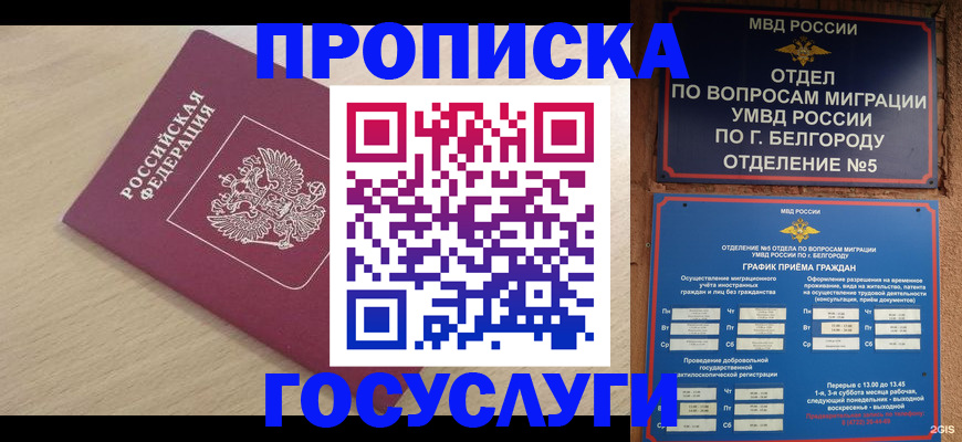 прописка законно в Воронежской области